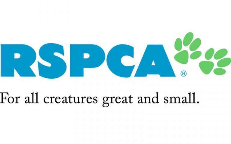 RSPCA - Pets