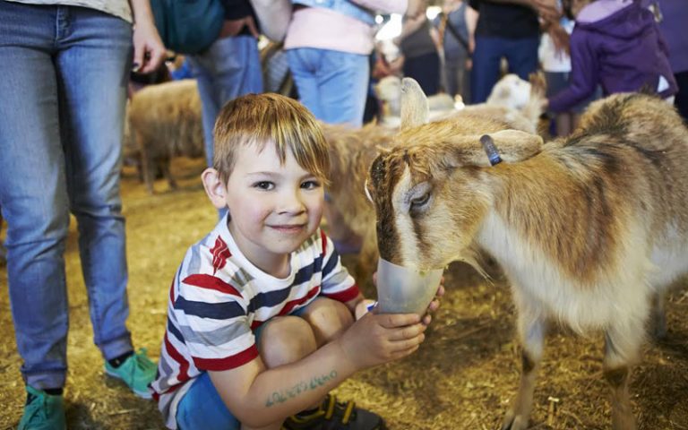 Royal Melbourne Show - Pets